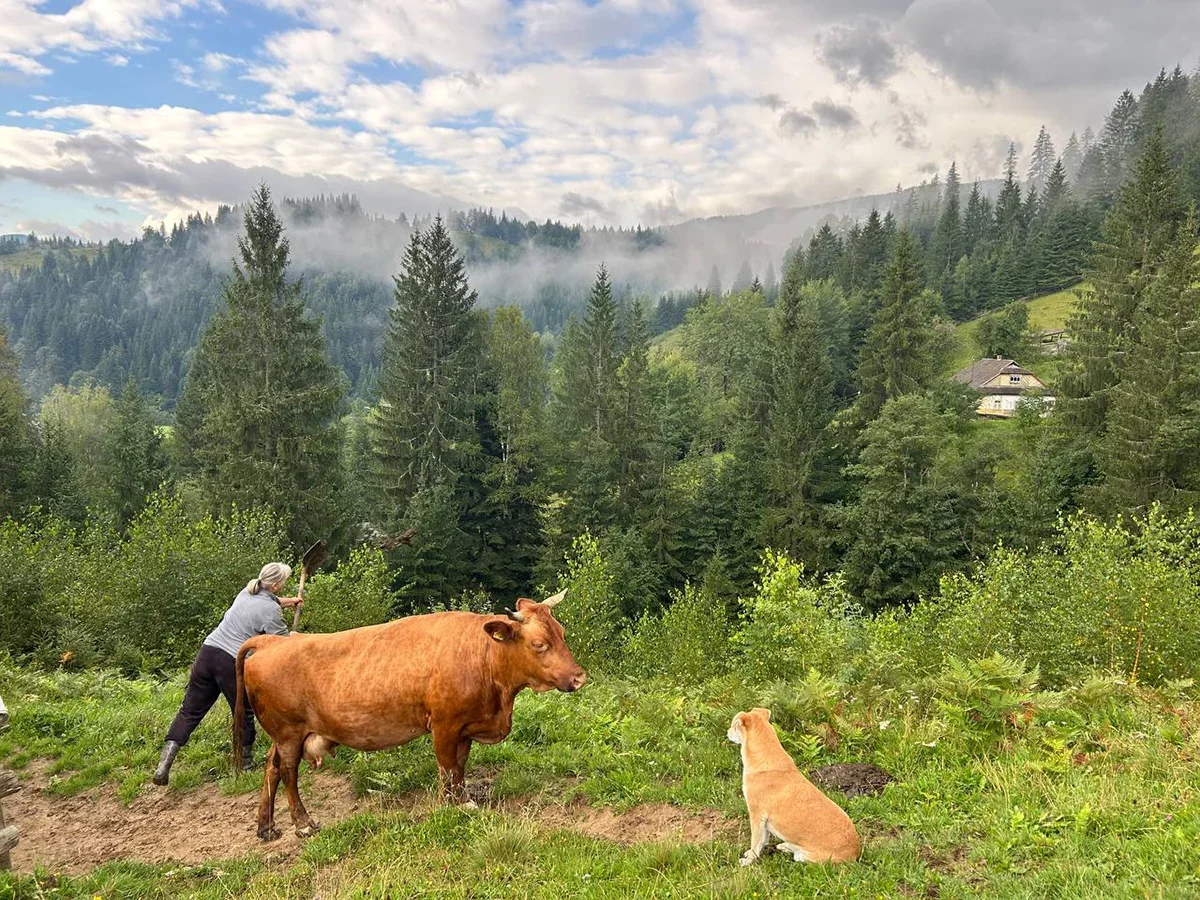 Halyna Zelenchuk with her dog and her cow. Photo: Dmytro Durnev for Novaya Gazeta Europe