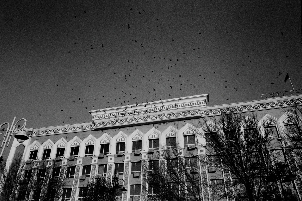 Здание Кызылординского областного суда. Фото: Фариза Дударова