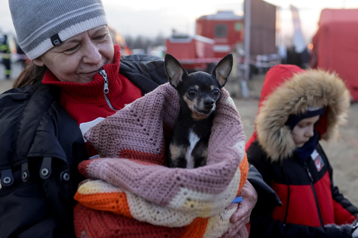 Женщина держит собаку на руках, наблюдая за беженцами из Украины, пересекающими украинско-словацкую границу, Словакия, 3 марта 2022 года. Фото: Lukasz Glowala / Reuters / Scanpix / LETA