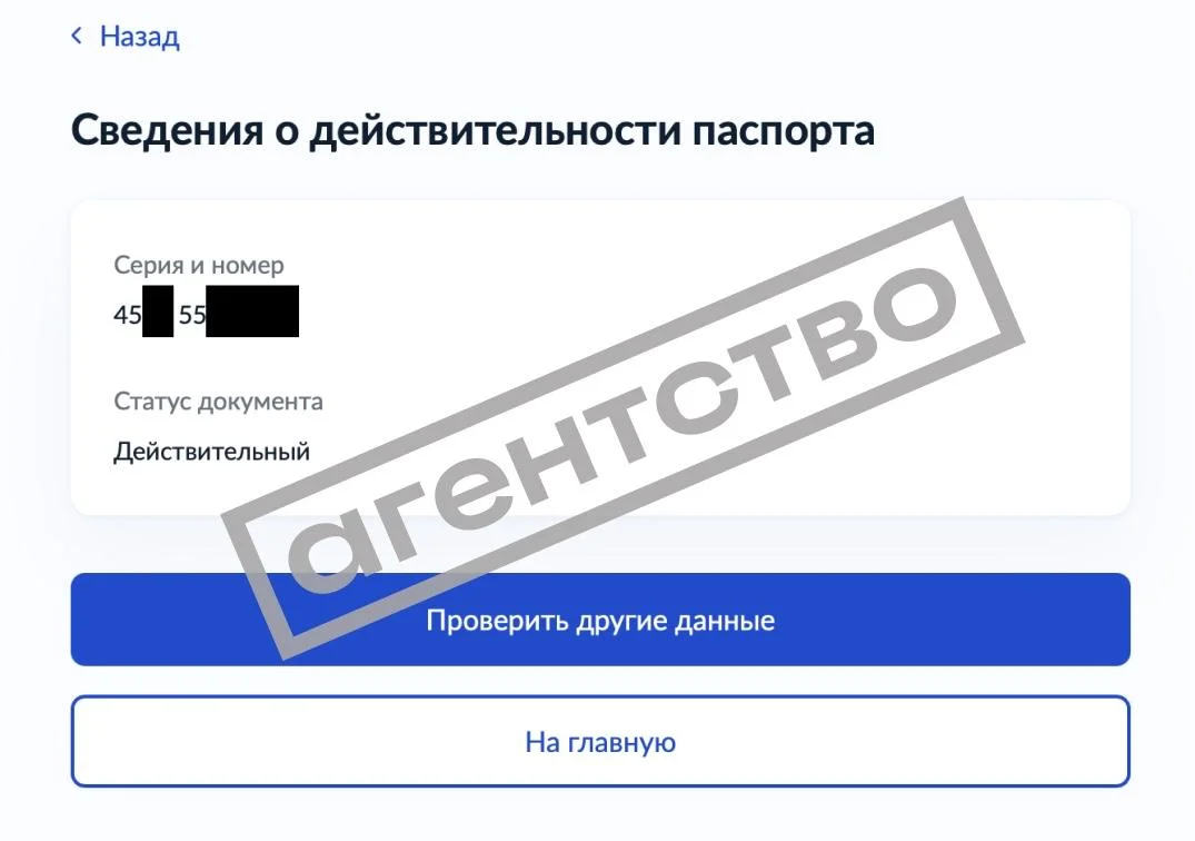 Фото: «Агентство»