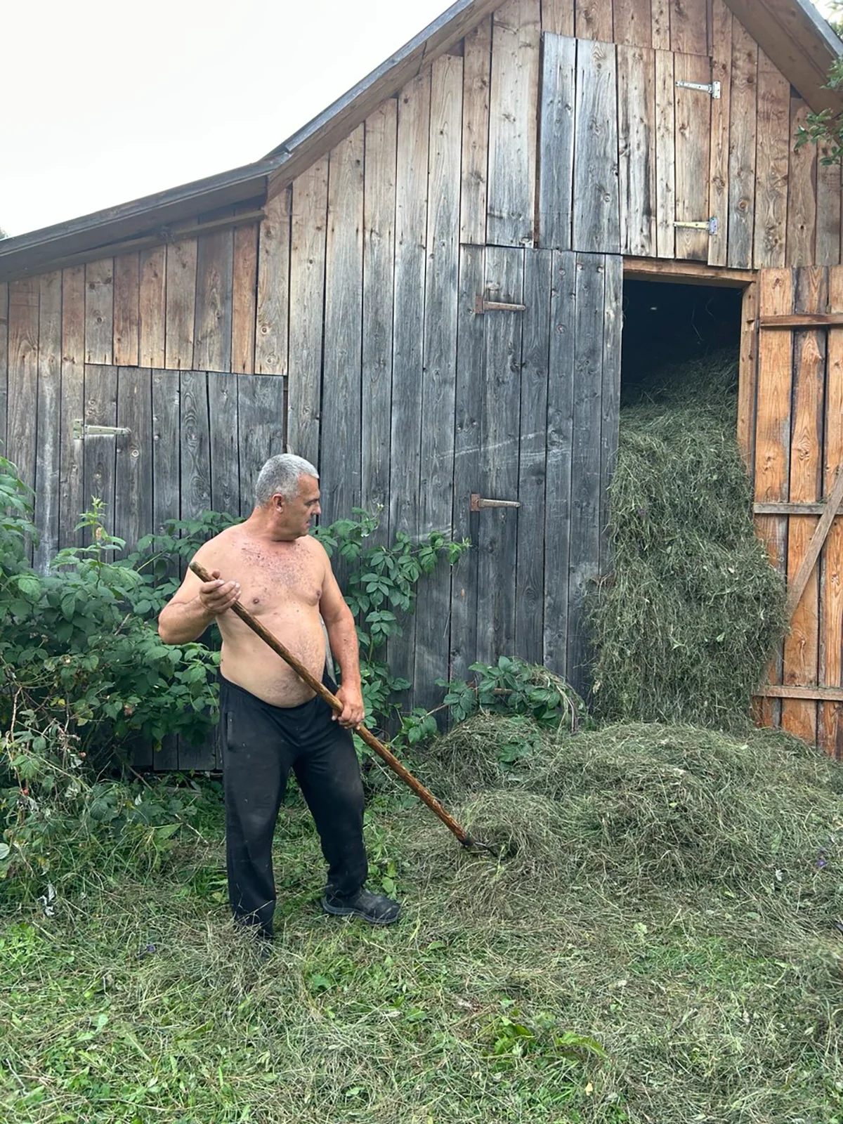 Михайло Кумлик закладывает сухое сено на хранение. Фото автора